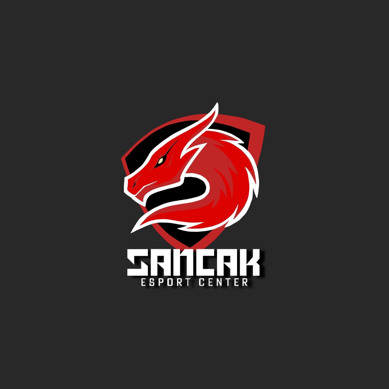 Sancak E Spor Center Logo